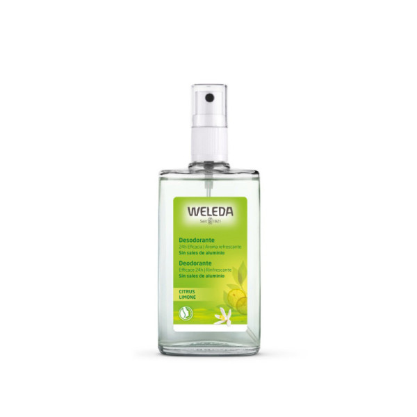 CITRUS desodorante 24h eficacia spray 100 ml